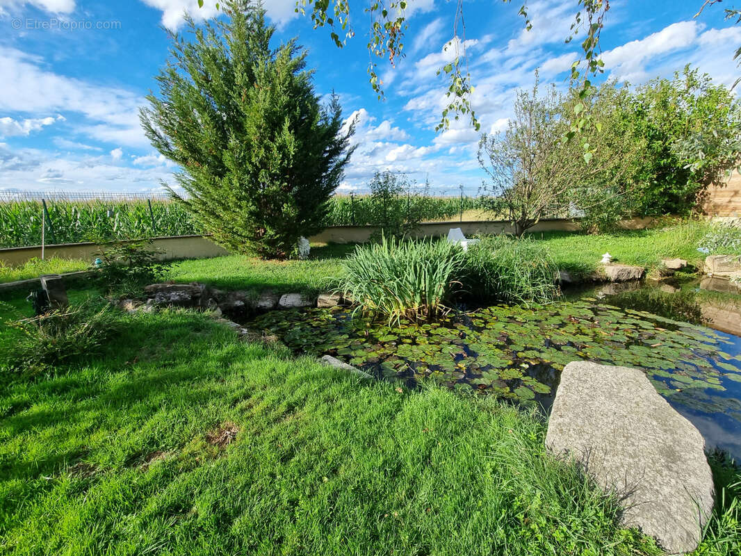 Maison à SAINT-ROMAIN-LE-PUY