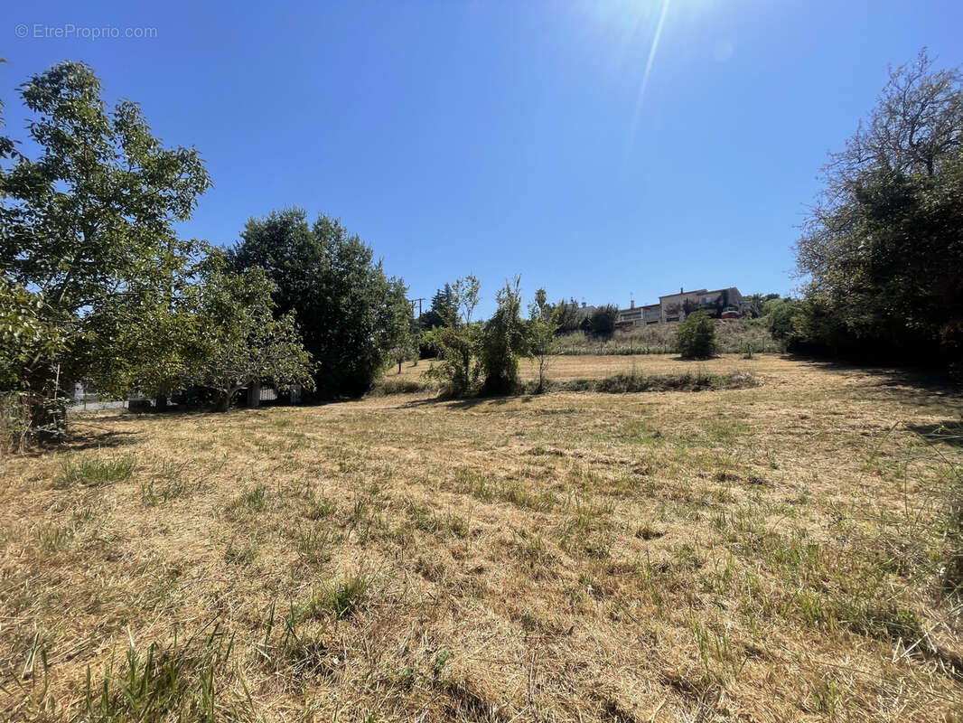Terrain à SAINT-PAUL