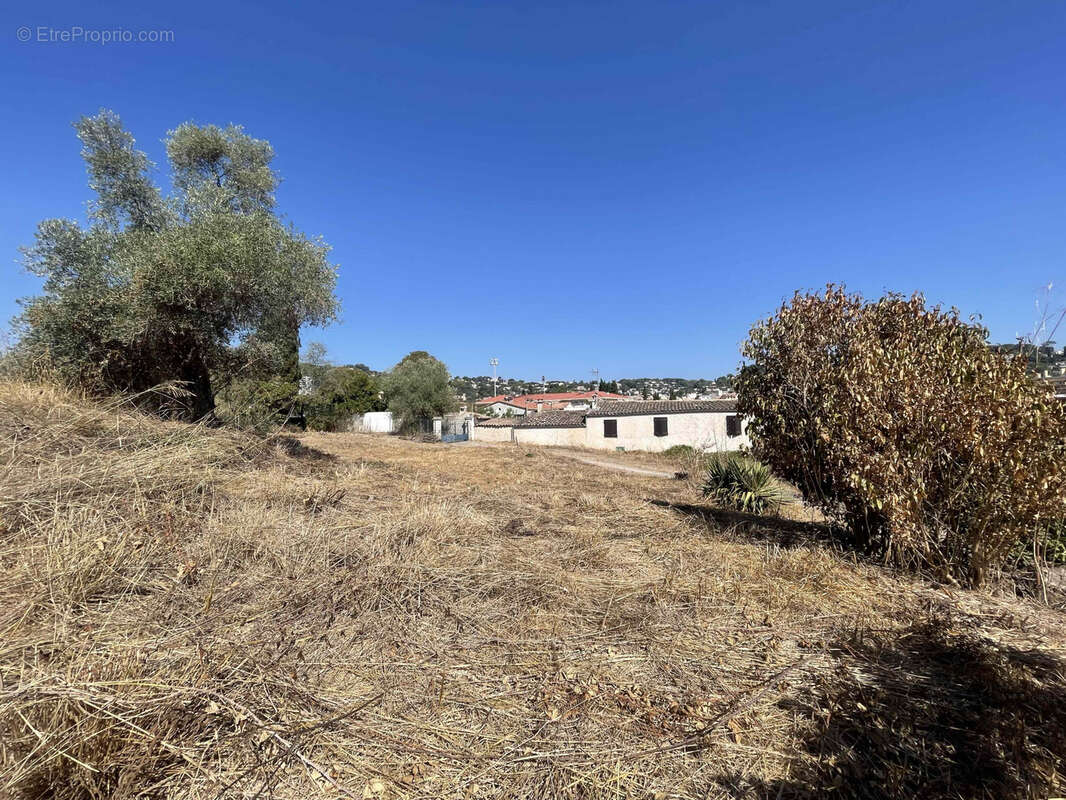 Terrain à VALLAURIS