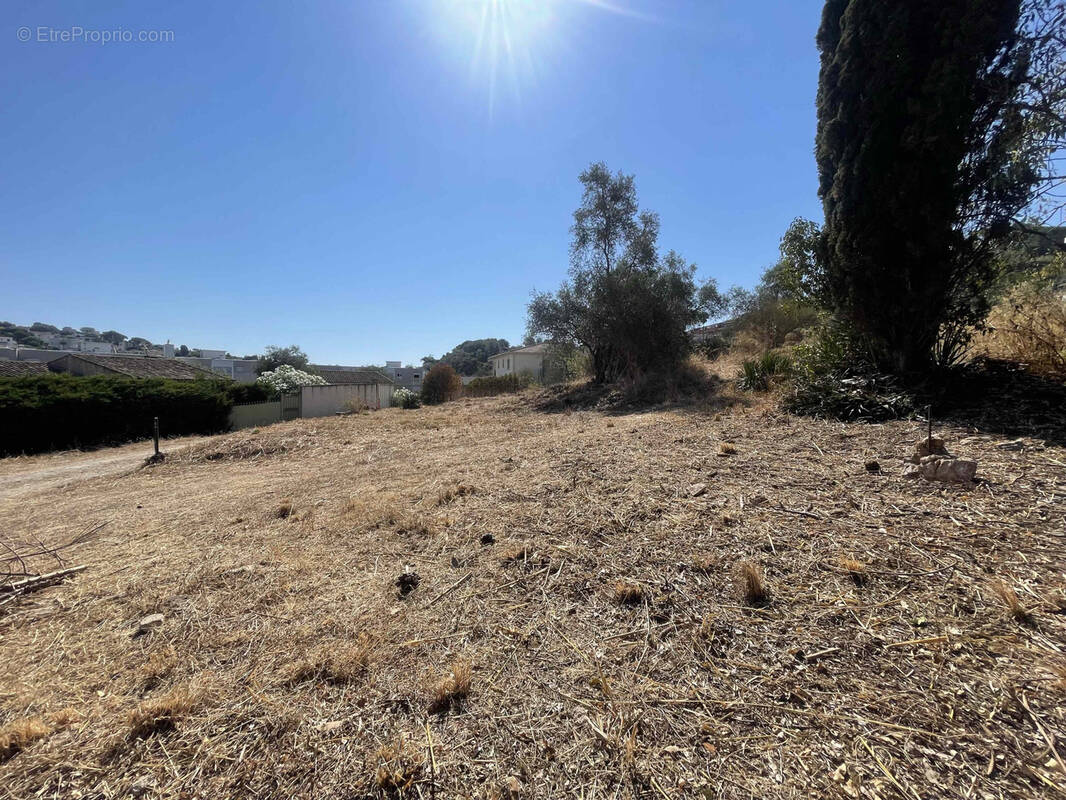 Terrain à VALLAURIS