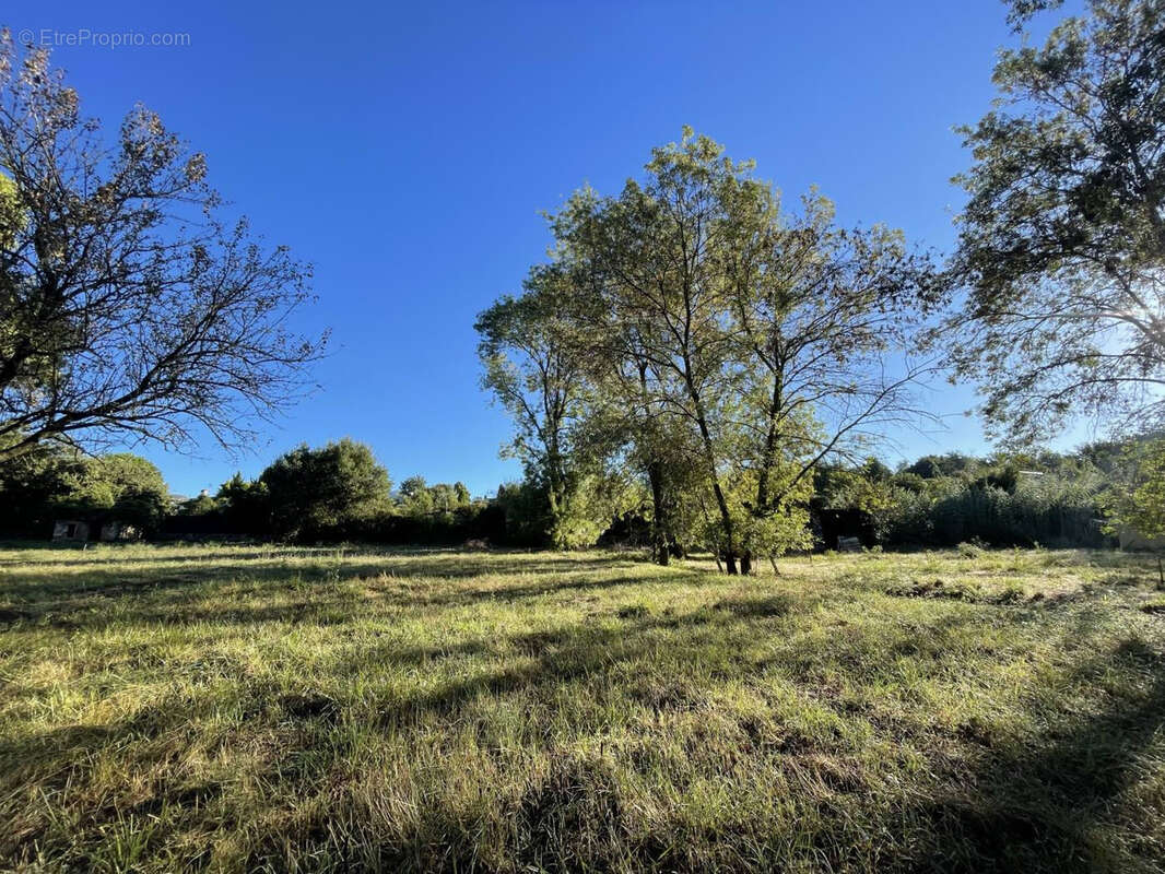 Terrain à CHATEAUNEUF-GRASSE