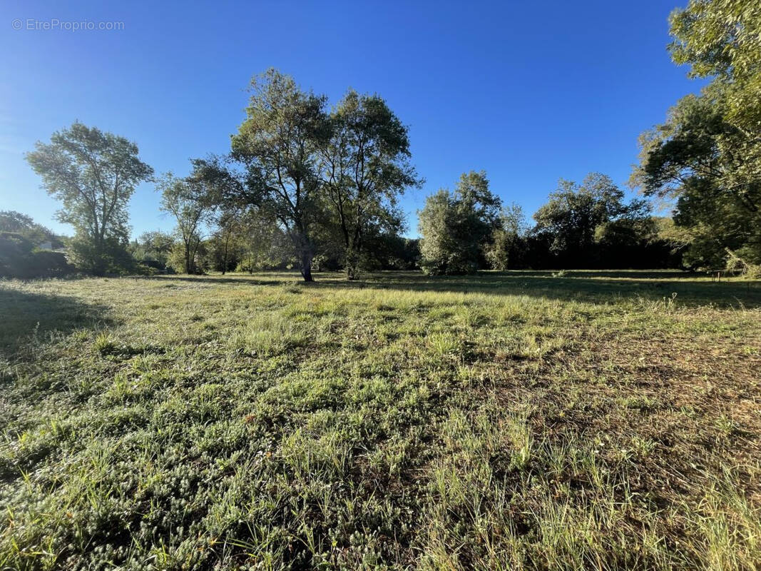 Terrain à CHATEAUNEUF-GRASSE
