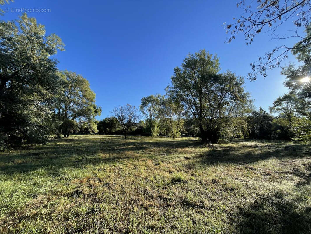 Terrain à CHATEAUNEUF-GRASSE