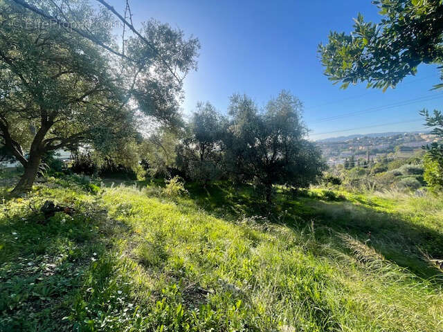 Terrain à GRASSE