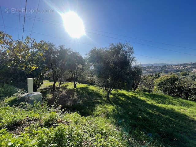 Terrain à GRASSE