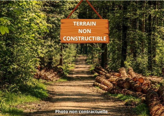 Terrain à BUSSAC-FORET