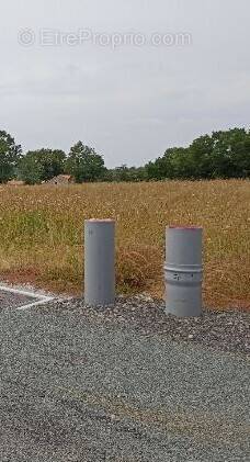 Terrain à SALLERTAINE