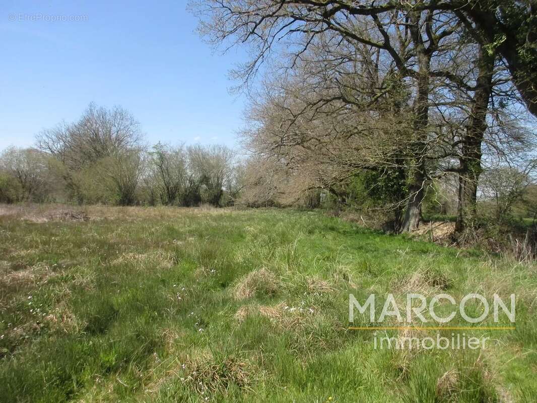 Terrain à COLONDANNES