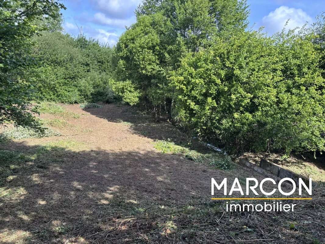 Terrain à COLONDANNES