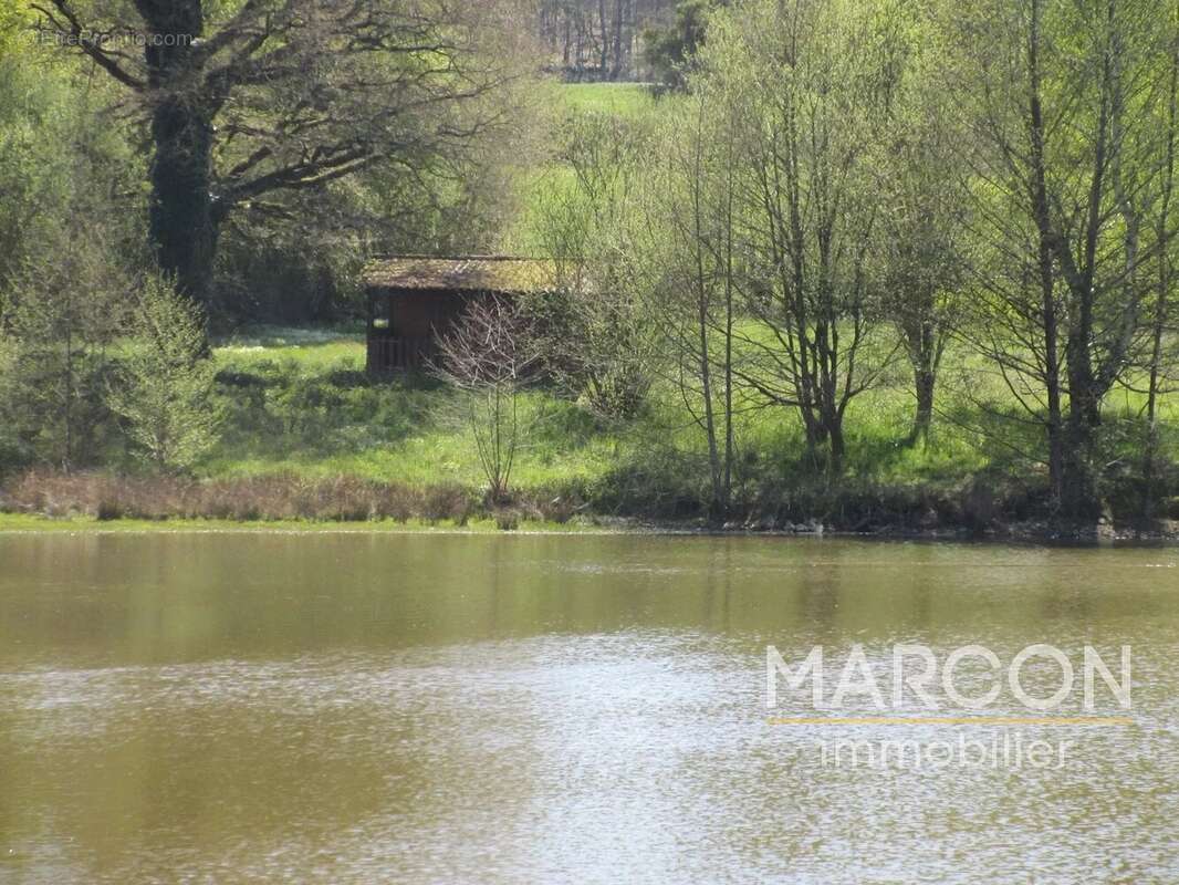 Terrain à COLONDANNES