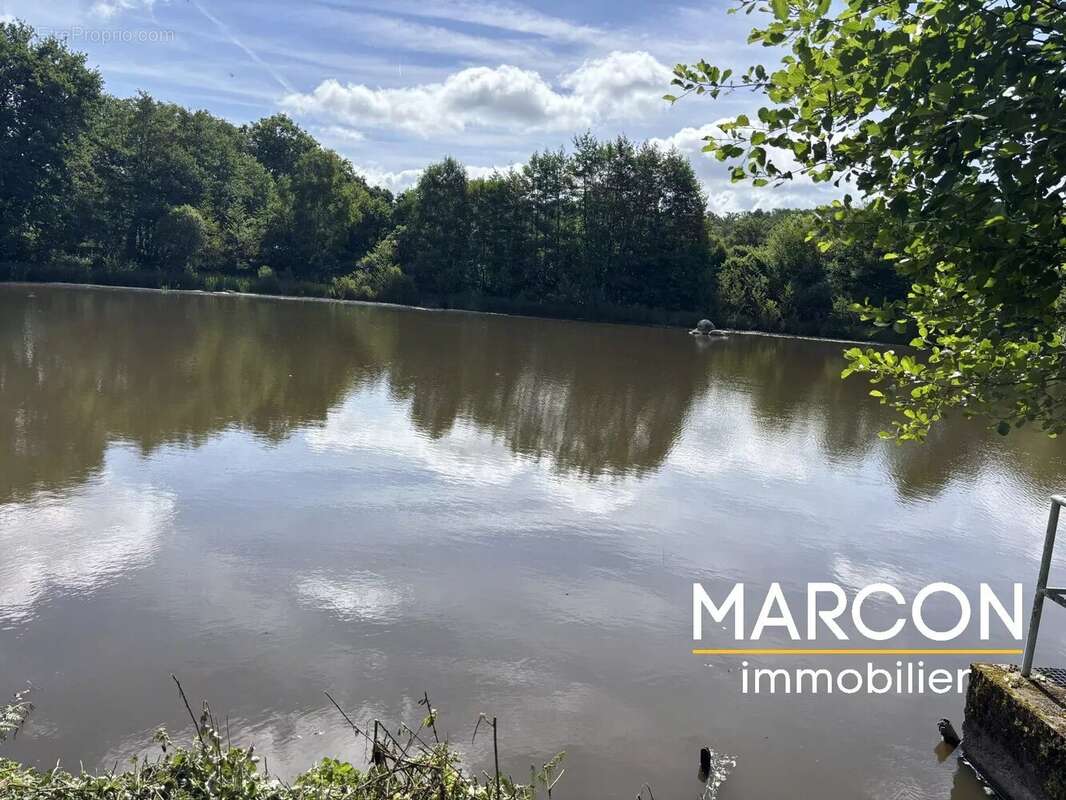 Terrain à COLONDANNES