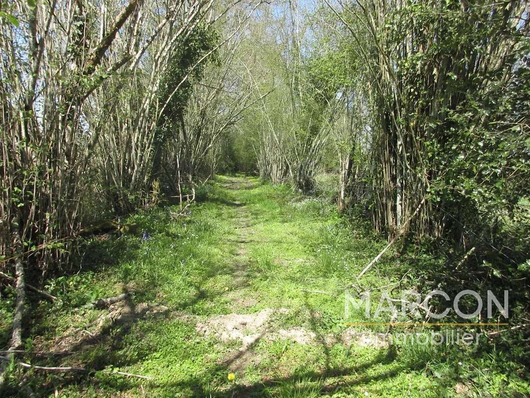 Terrain à COLONDANNES