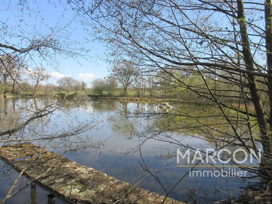 Terrain à COLONDANNES