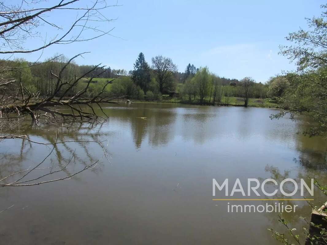 Terrain à COLONDANNES