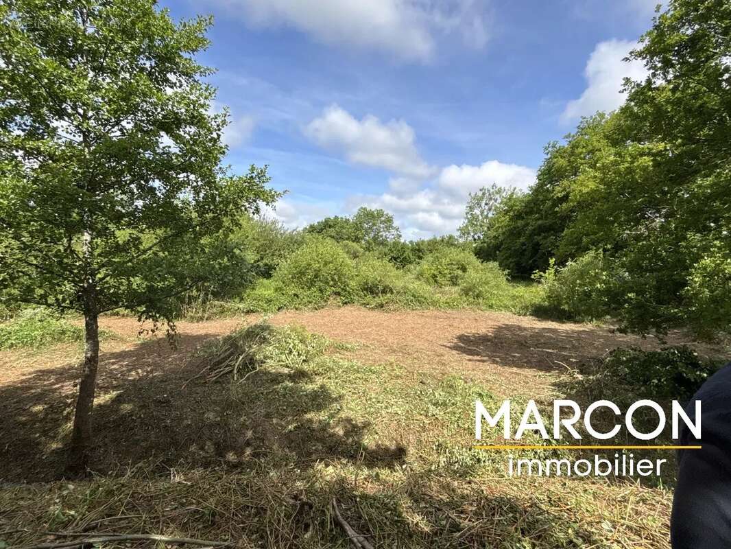 Terrain à COLONDANNES