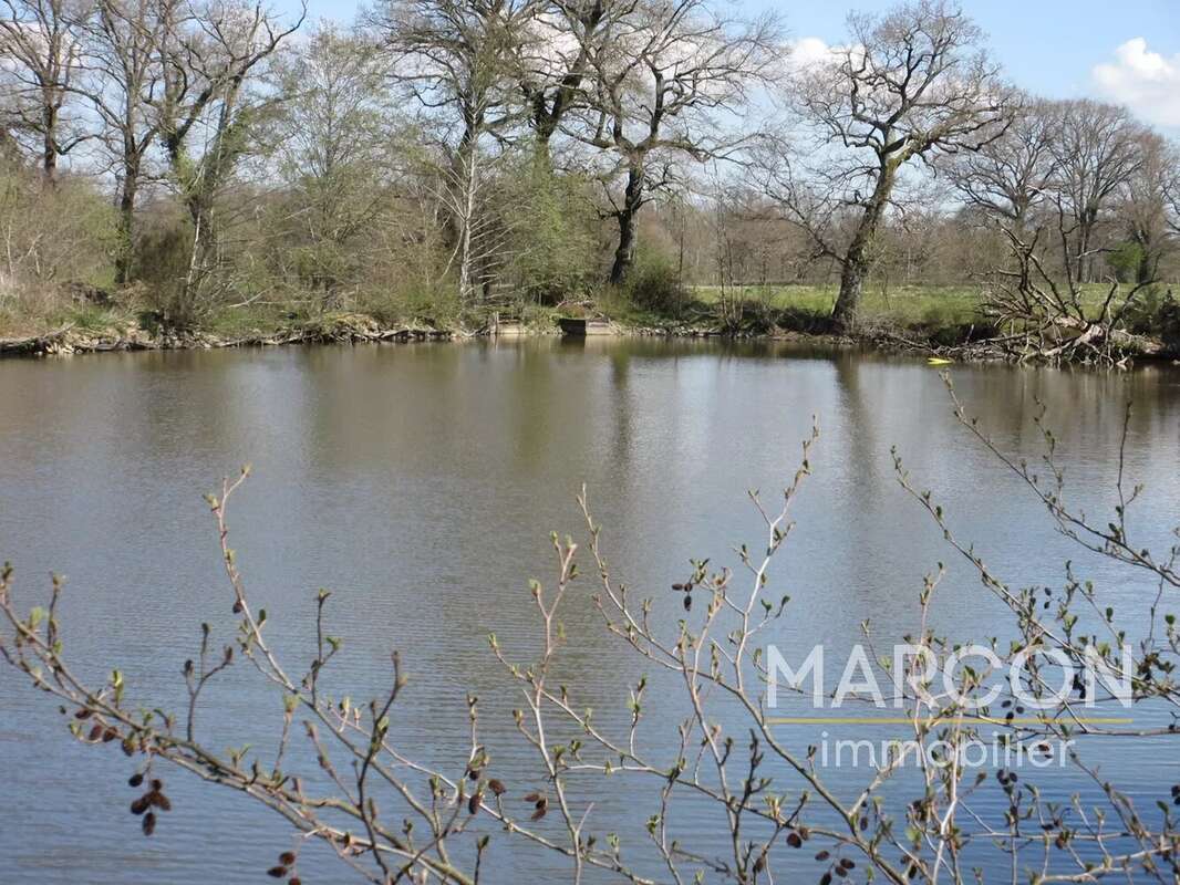 Terrain à COLONDANNES