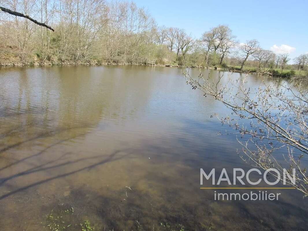 Terrain à COLONDANNES