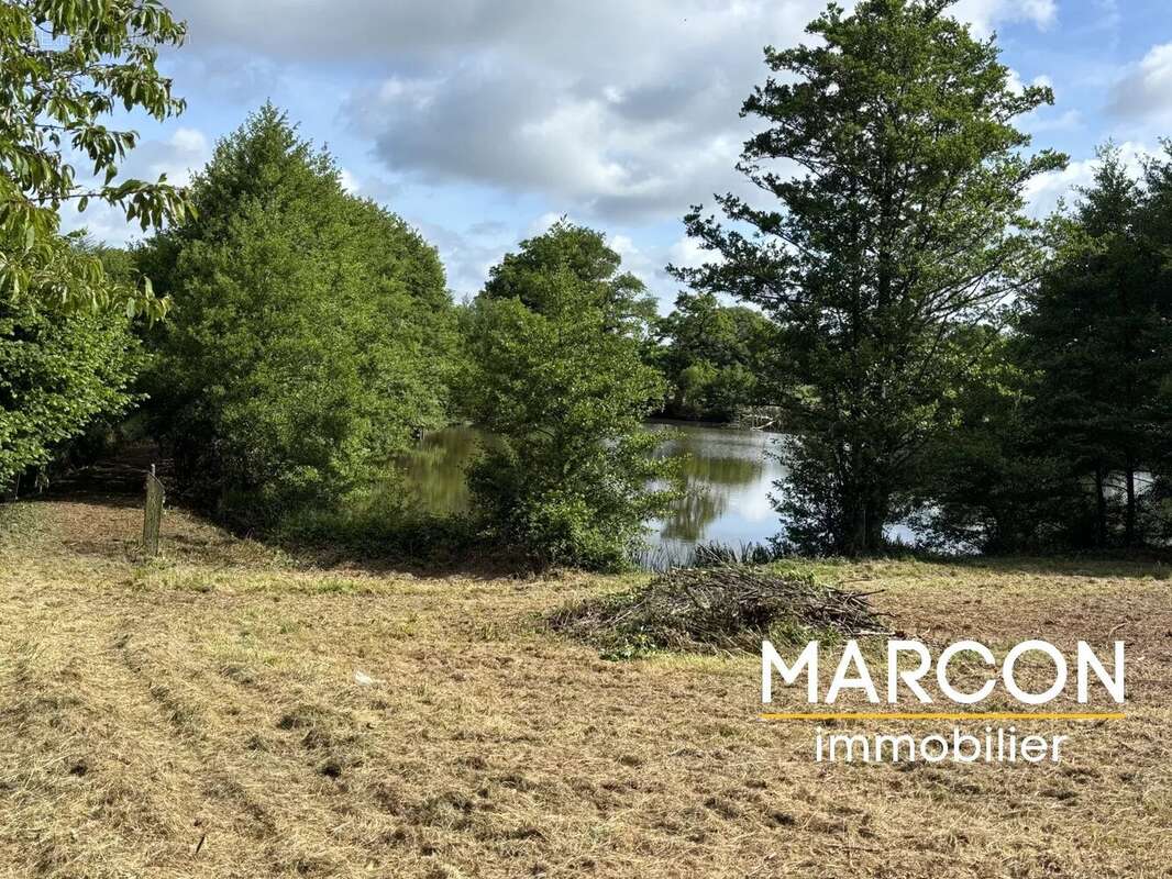 Terrain à COLONDANNES