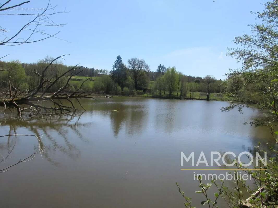 Terrain à COLONDANNES