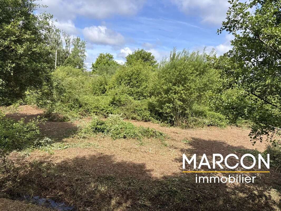 Terrain à COLONDANNES