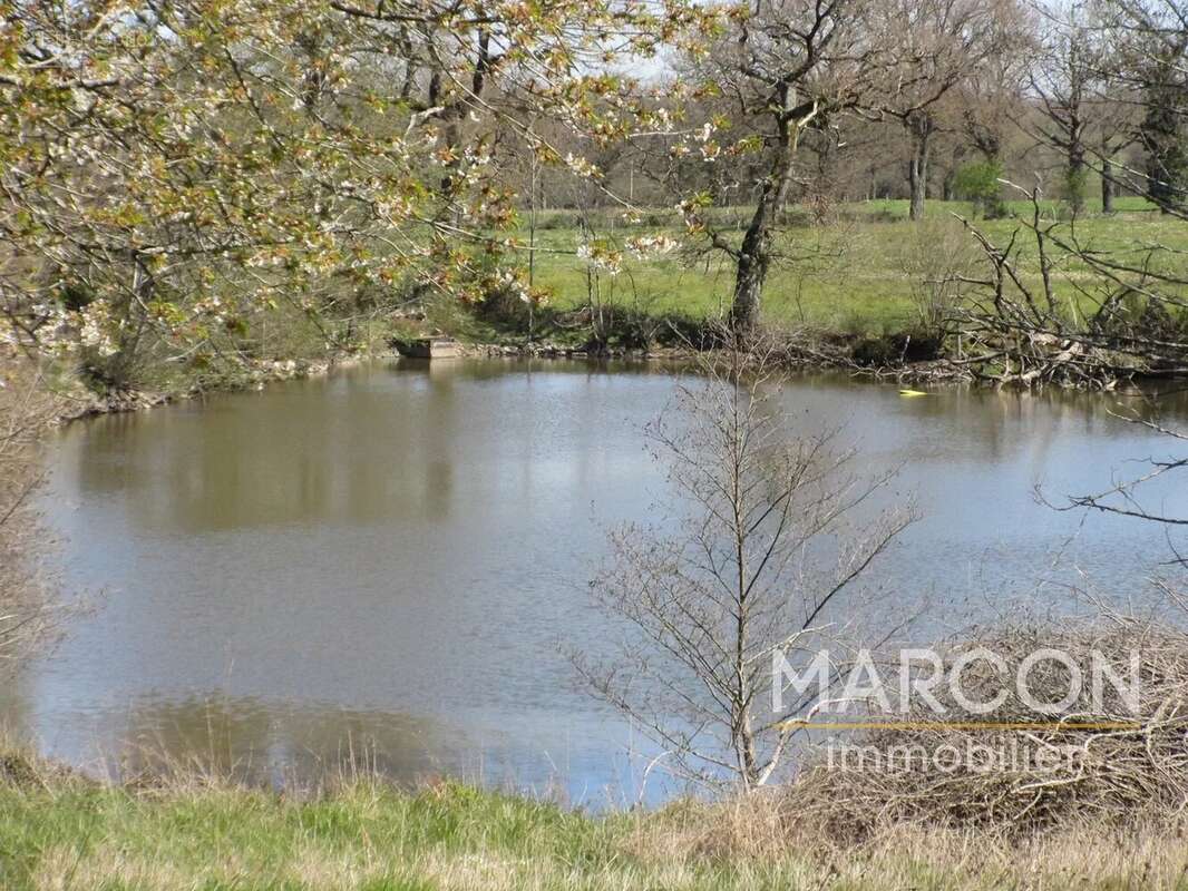 Terrain à COLONDANNES