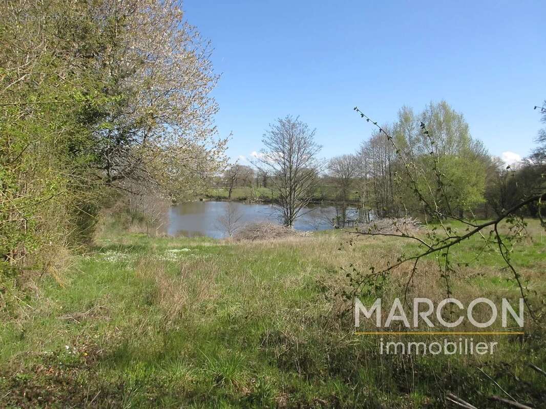 Terrain à COLONDANNES