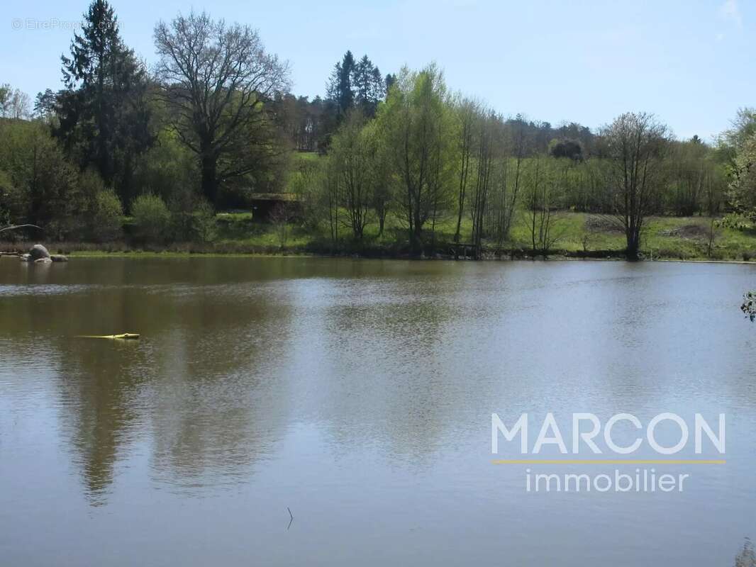 Terrain à COLONDANNES