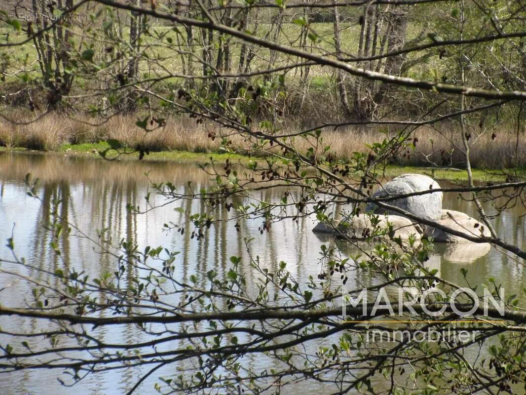 Terrain à COLONDANNES