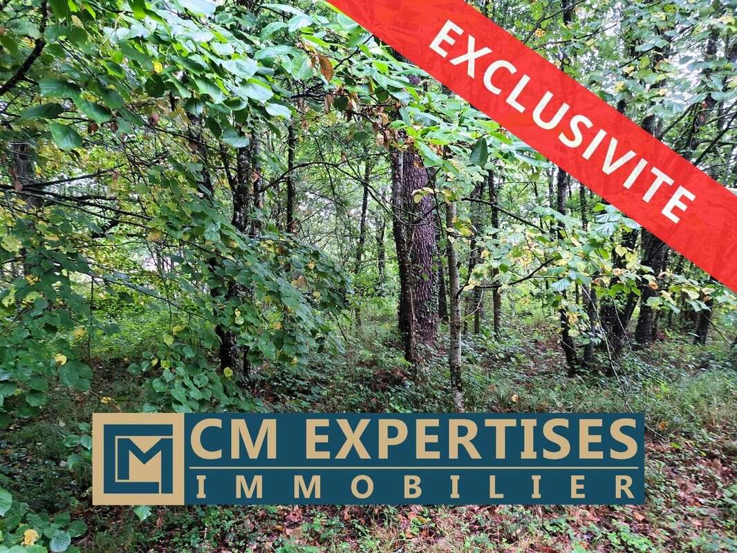 Terrain à ANNESSE-ET-BEAULIEU