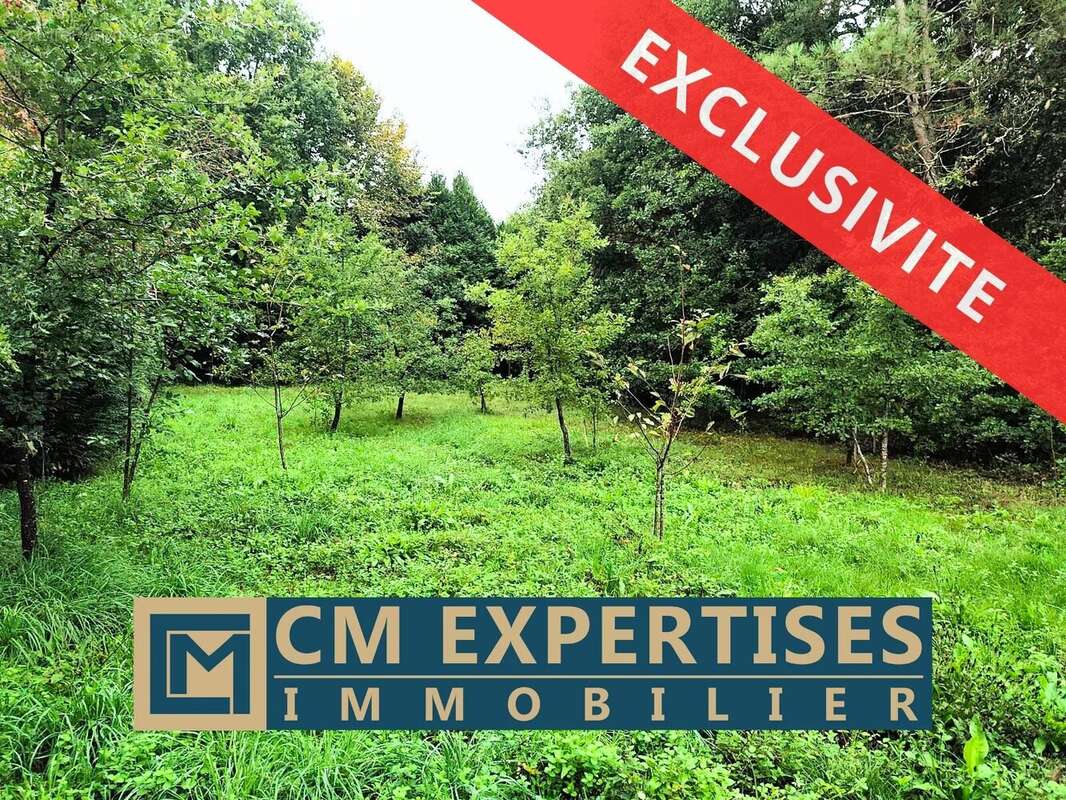 Terrain à ANNESSE-ET-BEAULIEU