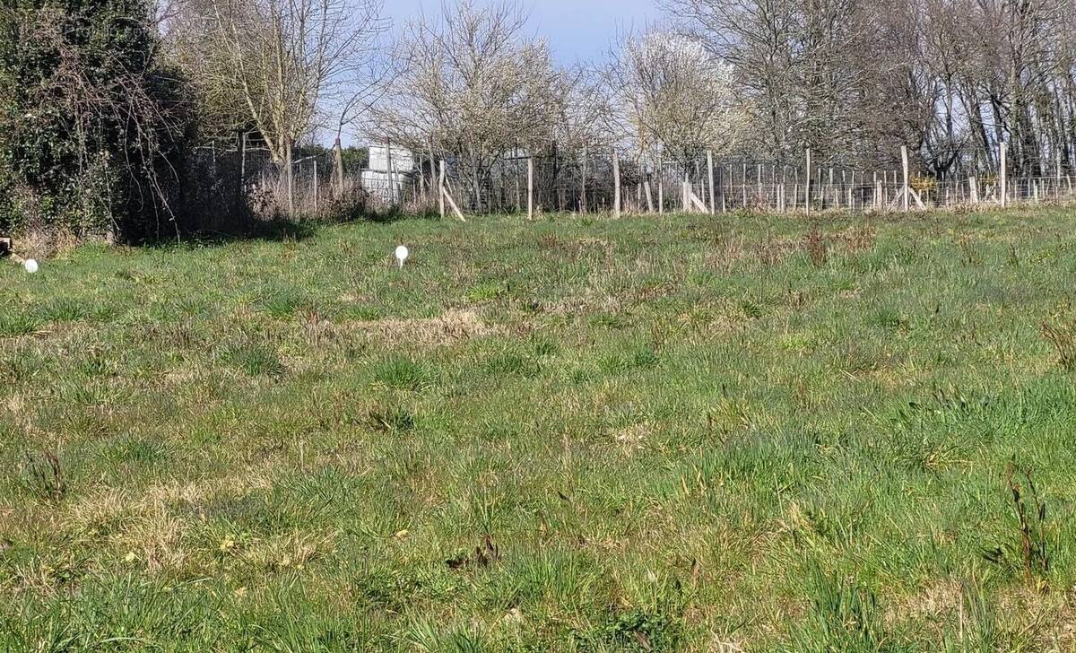 Terrain à CHAILLY-EN-BRIE