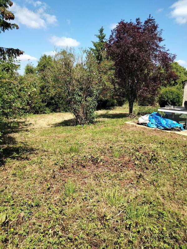 Terrain à SAINT-SIMEON