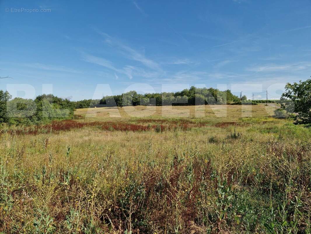 1 - Terrain à SERIGNAC