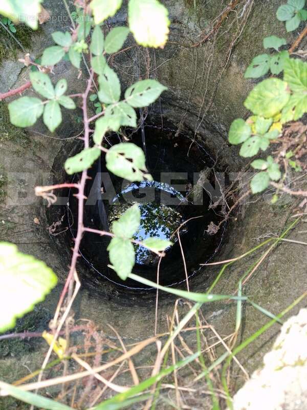 4 - Terrain à SERIGNAC