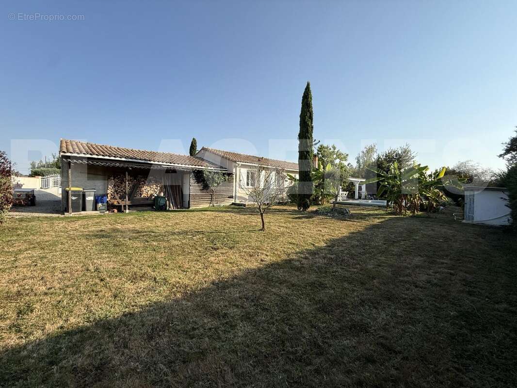 IMG_5681 - Maison à ESCATALENS