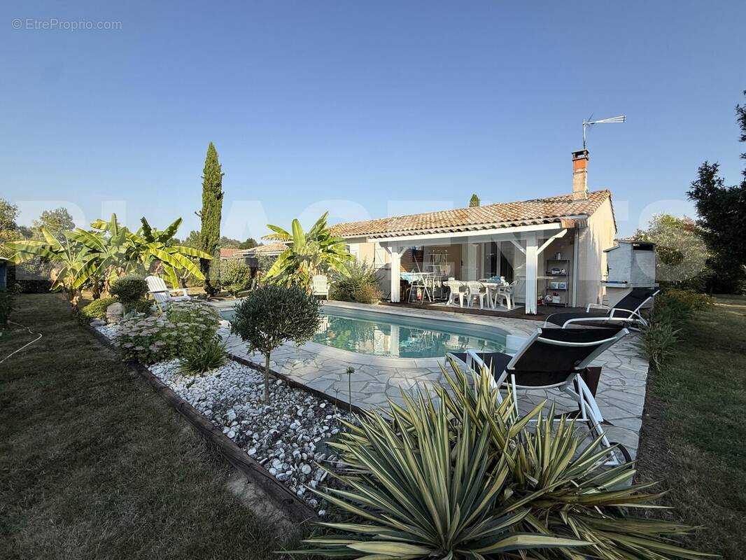 IMG_5685 - Maison à ESCATALENS