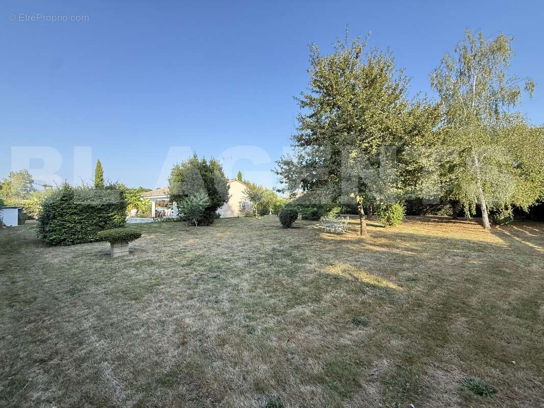 IMG_5686 - Maison à ESCATALENS