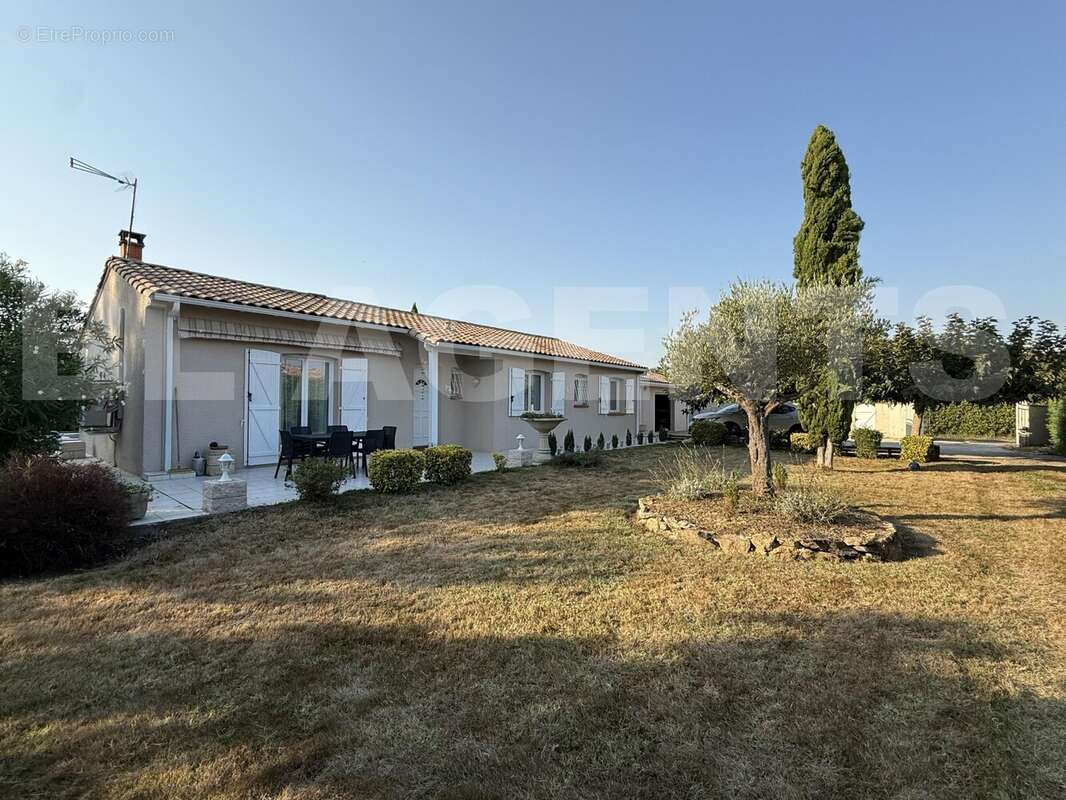 IMG_5711 - Maison à ESCATALENS