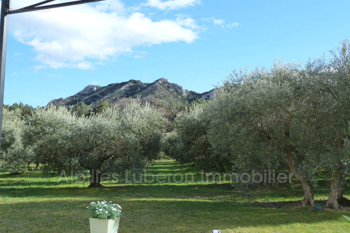 Maison à EYGALIERES