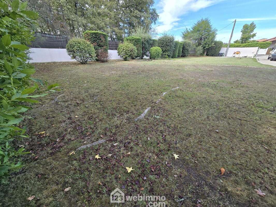 Construction de plain pied uniquement - Terrain à CARBON-BLANC