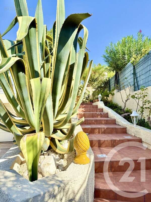 Maison à SAINT-JEAN-DE-VEDAS