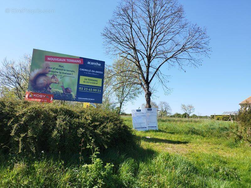 Terrain à CHEMILLE