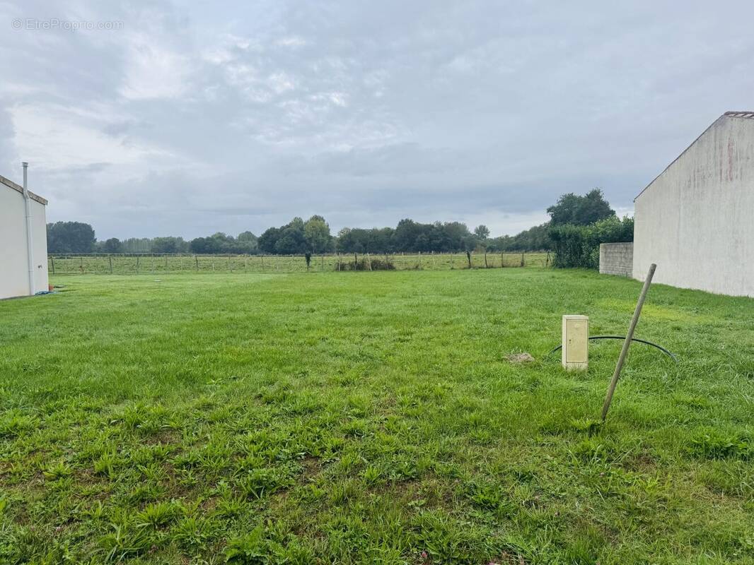 Terrain à MONTPELLIER-DE-MEDILLAN