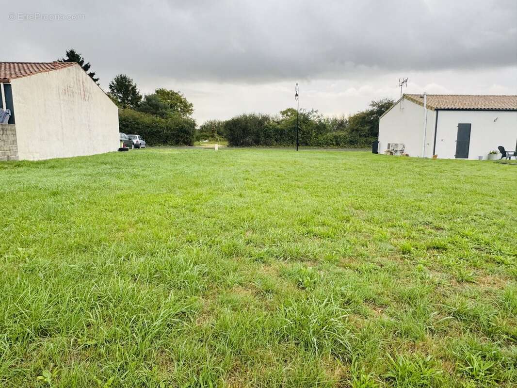 Terrain à MONTPELLIER-DE-MEDILLAN