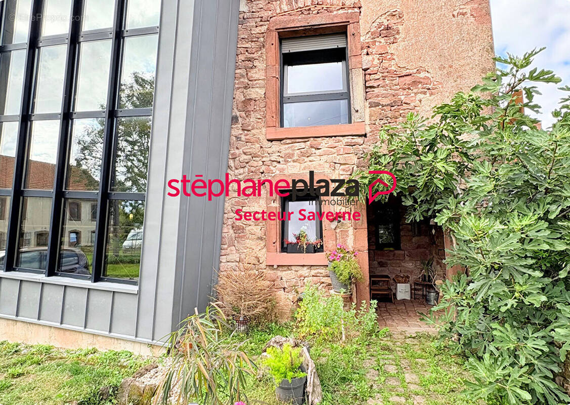 Maison à PHALSBOURG