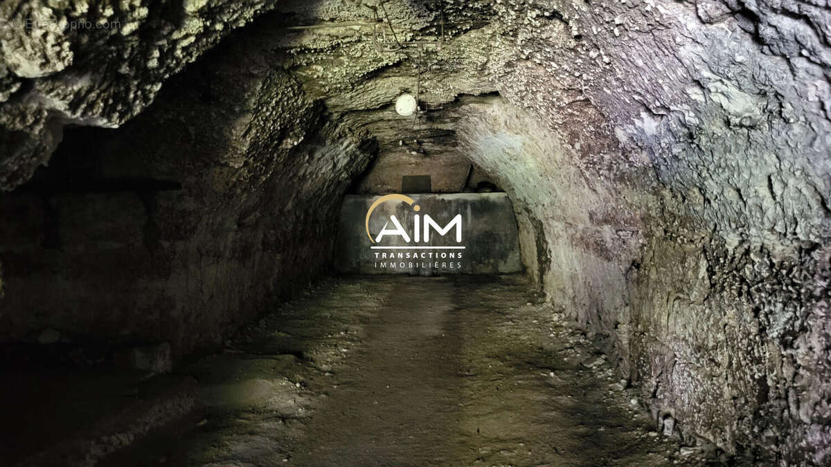 Autre à MONTLOUIS-SUR-LOIRE