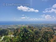 Maison à SAINTE-MARIE