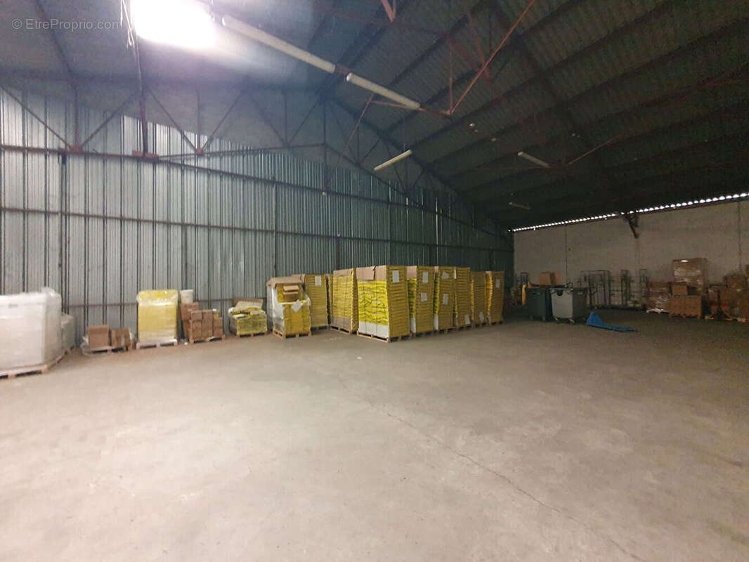 Terrain à SAINTE-EULALIE