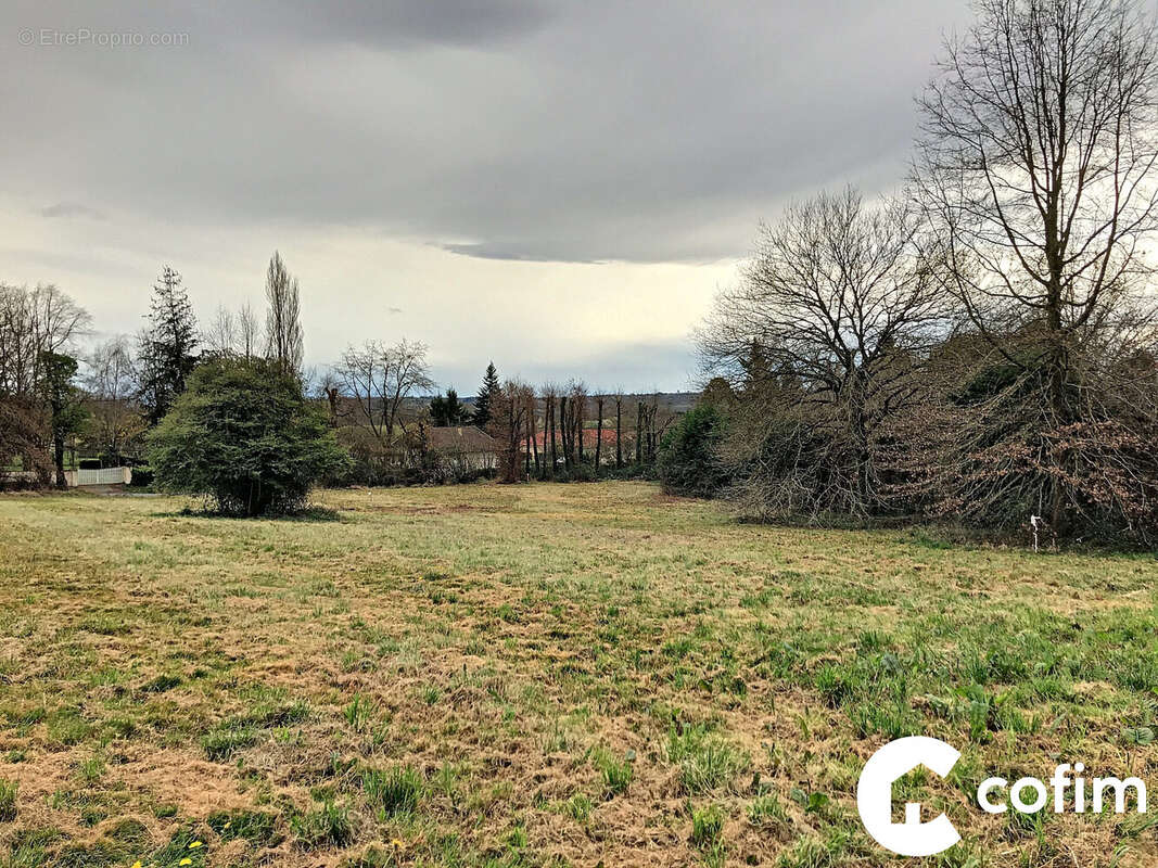 Terrain à THEZE