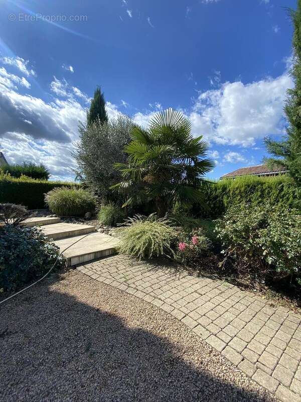 Photo 6 - Maison à FAREINS